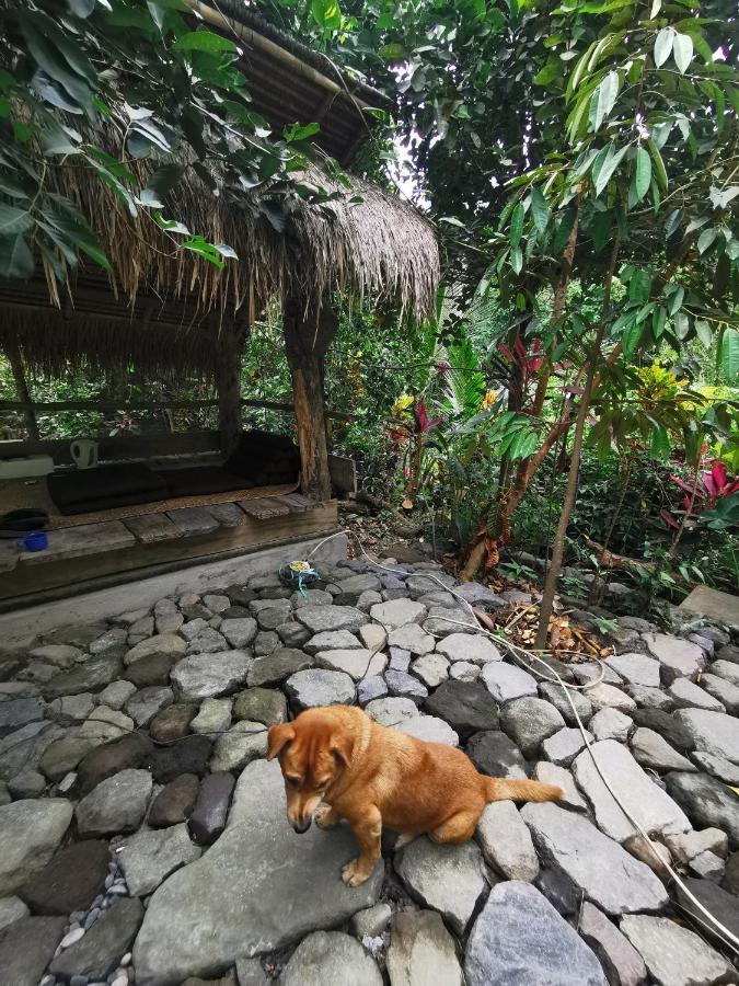 Les Garden Villa 테자쿨라 외부 사진
