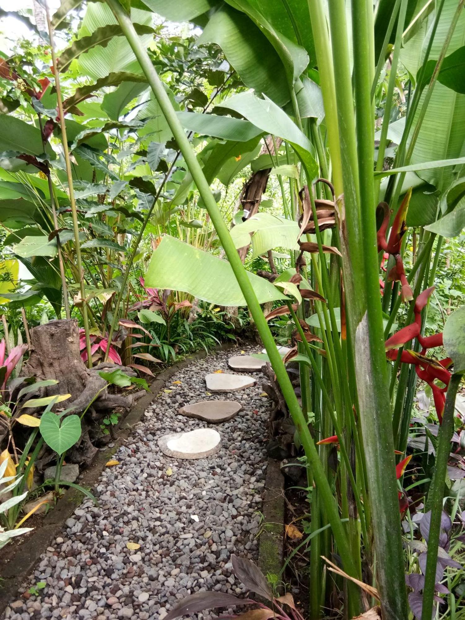 Les Garden Villa 테자쿨라 외부 사진