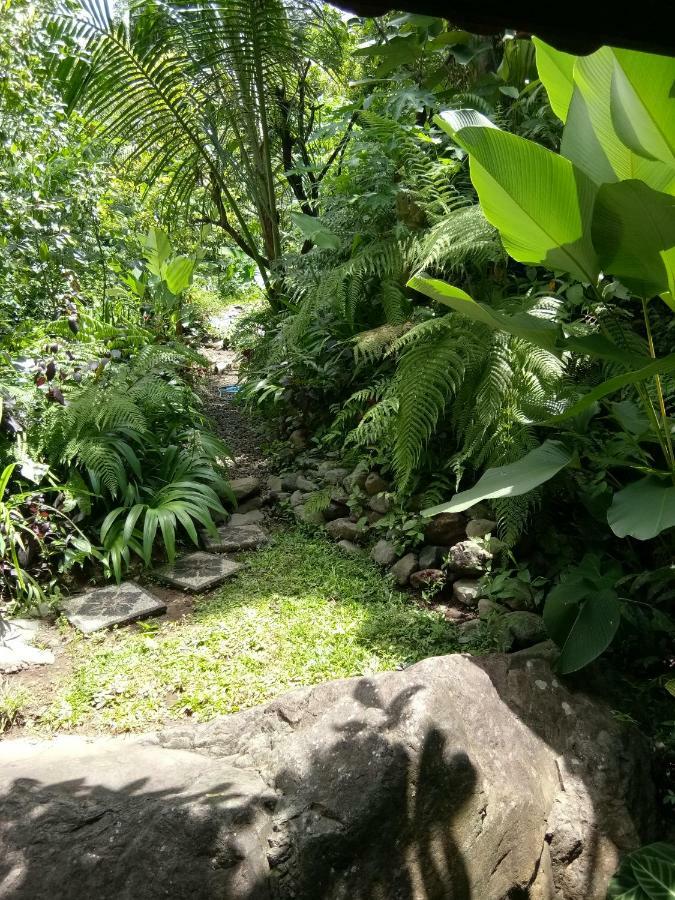 Les Garden Villa 테자쿨라 외부 사진